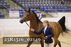 25R1516_02149 thumbnail