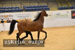 25R1516_02150 thumbnail
