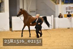 25R1516_02151 thumbnail