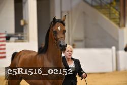 25R1516_02152 thumbnail