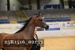 25R1516_02153 thumbnail