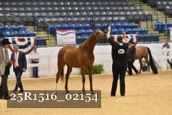 25R1516_02154 thumbnail