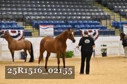 25R1516_02155 thumbnail