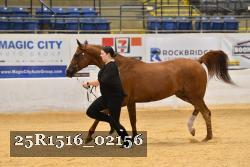 25R1516_02156 thumbnail