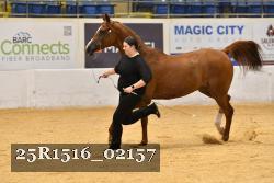 25R1516_02157 thumbnail