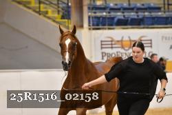25R1516_02158 thumbnail