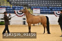 25R1516_02159 thumbnail