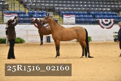 25R1516_02160 thumbnail