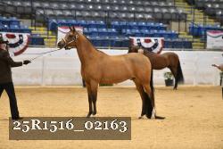 25R1516_02163 thumbnail