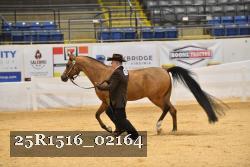 25R1516_02164 thumbnail