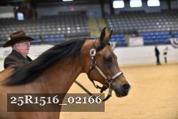 25R1516_02166 thumbnail