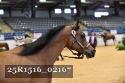 25R1516_02167 thumbnail