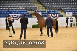 25R1516_02168 thumbnail
