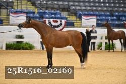 25R1516_02169 thumbnail