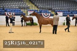 25R1516_02171 thumbnail