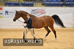25R1516_02173 thumbnail