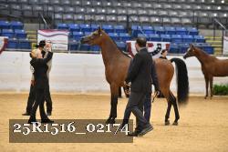 25R1516_02174 thumbnail