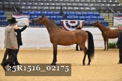25R1516_02175 thumbnail