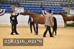 25R1516_02176 thumbnail