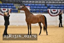 25R1516_02179 thumbnail