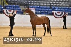 25R1516_02180 thumbnail