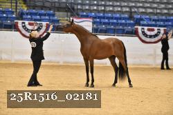 25R1516_02181 thumbnail