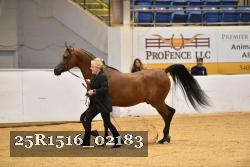 25R1516_02183 thumbnail