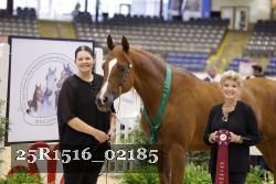 25R1516_02185 thumbnail