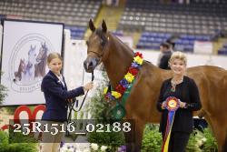 25R1516_02188 thumbnail