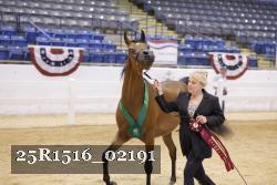25R1516_02191 thumbnail