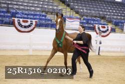 25R1516_02193 thumbnail
