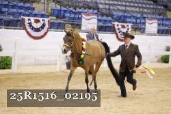 25R1516_02195 thumbnail