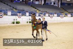 25R1516_02199 thumbnail