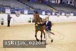 25R1516_02200 thumbnail