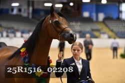 25R1516_02208 thumbnail