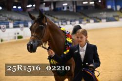 25R1516_02210 thumbnail