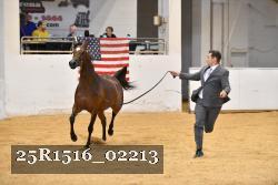 25R1516_02213 thumbnail