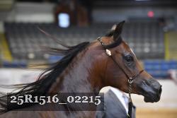 25R1516_02215 thumbnail