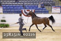 25R1516_02216 thumbnail
