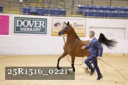 25R1516_02217 thumbnail