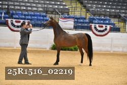 25R1516_02219 thumbnail