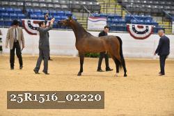 25R1516_02220 thumbnail