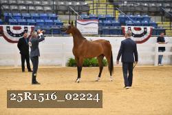 25R1516_02224 thumbnail