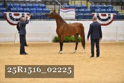 25R1516_02225 thumbnail