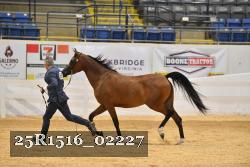 25R1516_02227 thumbnail
