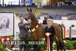 25R1516_02228 thumbnail