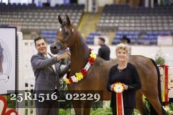 25R1516_02229 thumbnail