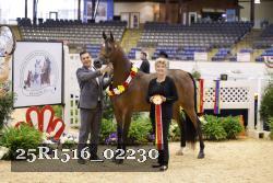 25R1516_02230 thumbnail
