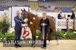 25R1516_02234 thumbnail