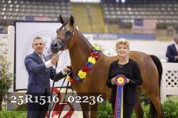 25R1516_02236 thumbnail